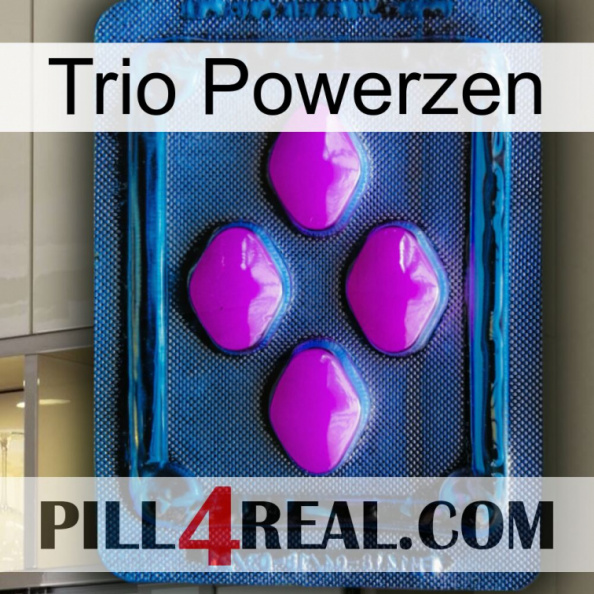 Trio Powerzen 04.jpg